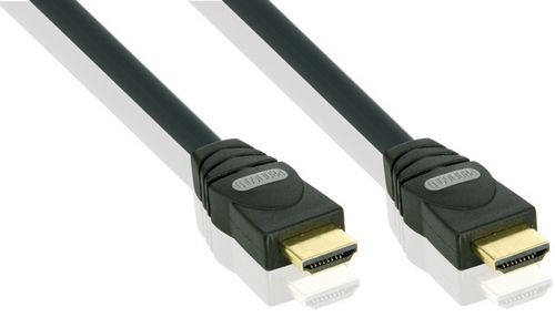 til eksil forsikring Penge gummi Profigold HDMI Monitor Cable 5.0m : HDMI : AZONE