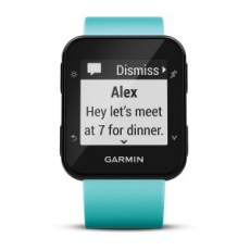 garmin forerunner 35 frost blue